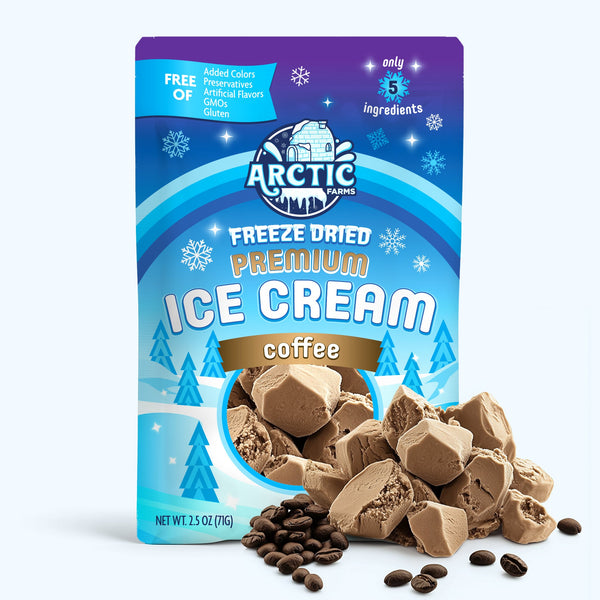PREMIUM Freeze Dried Ice Cream * Only 5 Ingredients * Neapolitan