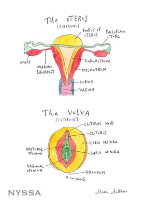 VieVision Between Legs Mirror