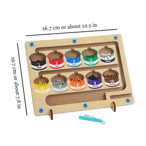 Educational Magnetic Maze