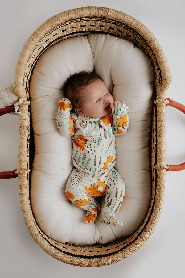 Dinosaur Kids Pajamas