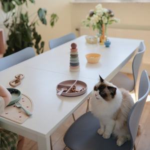 Dinnerware Fork and Spoon Set