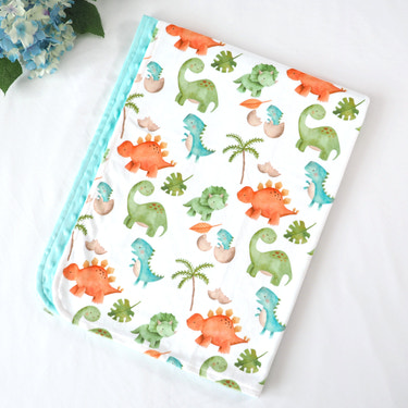 Dinosaurs Minky Baby Blanket