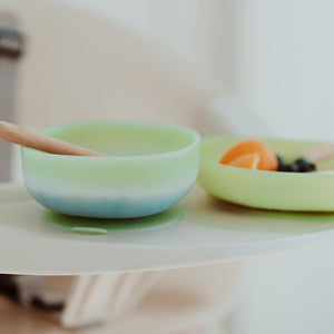 Color Changing Suction Bowl