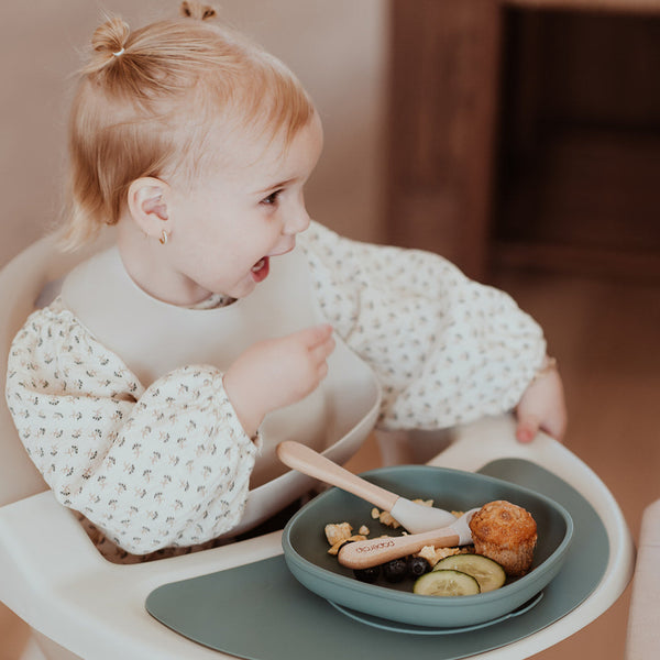 Silicone Suction Plate