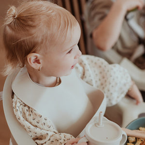 Silicone Feeding Bib