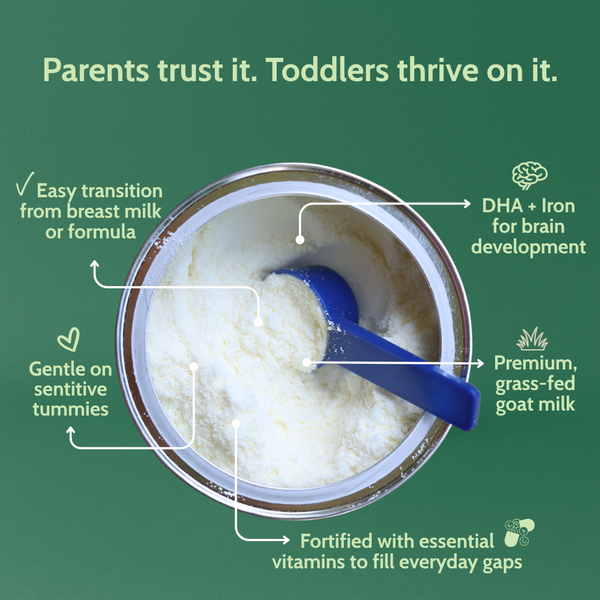Holle Goat Milk Toddler Drink | Stage 3 (14 oz)