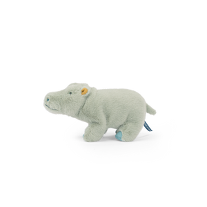Small hippopotamus - All Around the World