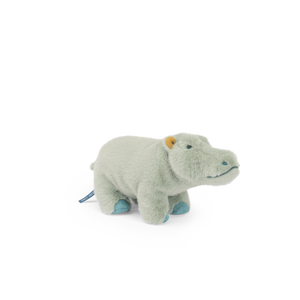 Small hippopotamus - All Around the World