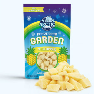 Freeze Dried Pineapple