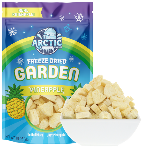 Freeze Dried Pineapple