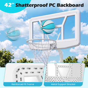 Pool Basketball Hoop Set with 2 Balls and Pump for Water Games