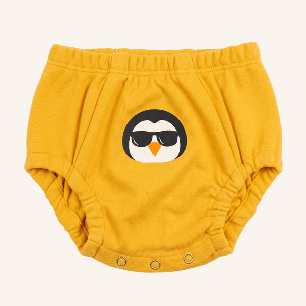 Day & Night Organic Training Underwear