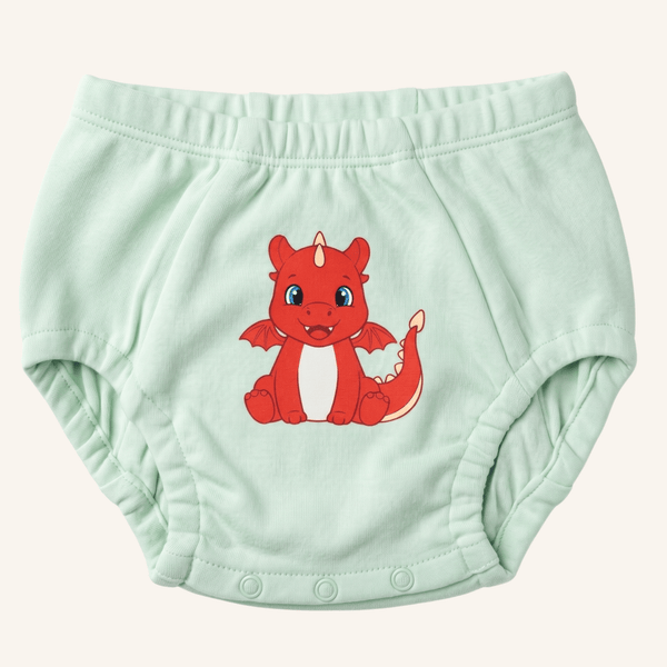 Day & Night Organic Training Underwear