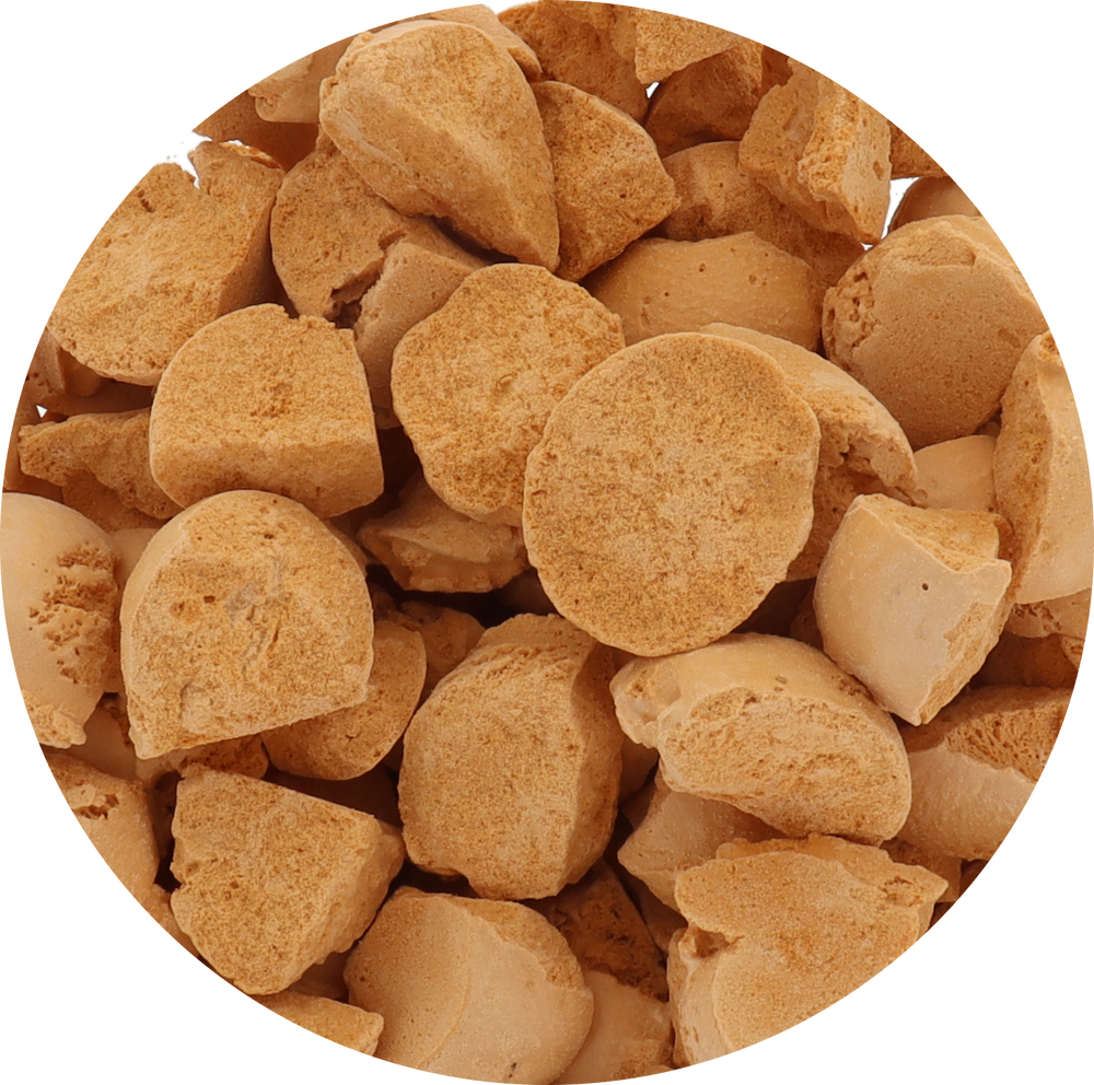Freeze Dried Ice Cream That Does Not Melt (Bits) Pumpkin Pie
