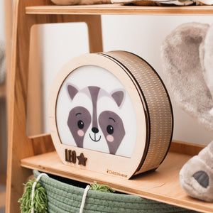Raccoon Night Light