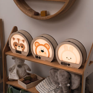 Raccoon Night Light