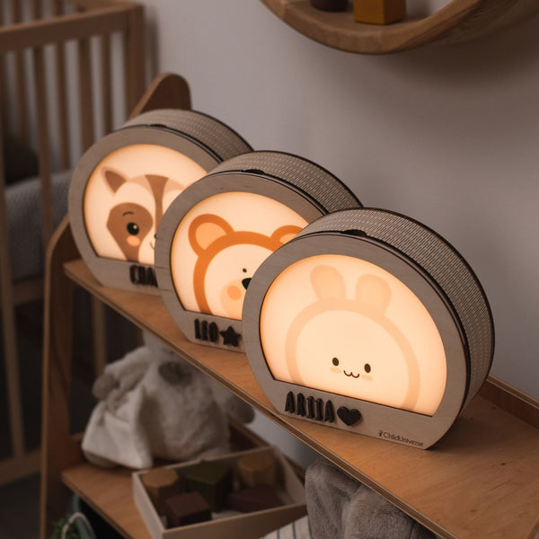 Raccoon Night Light