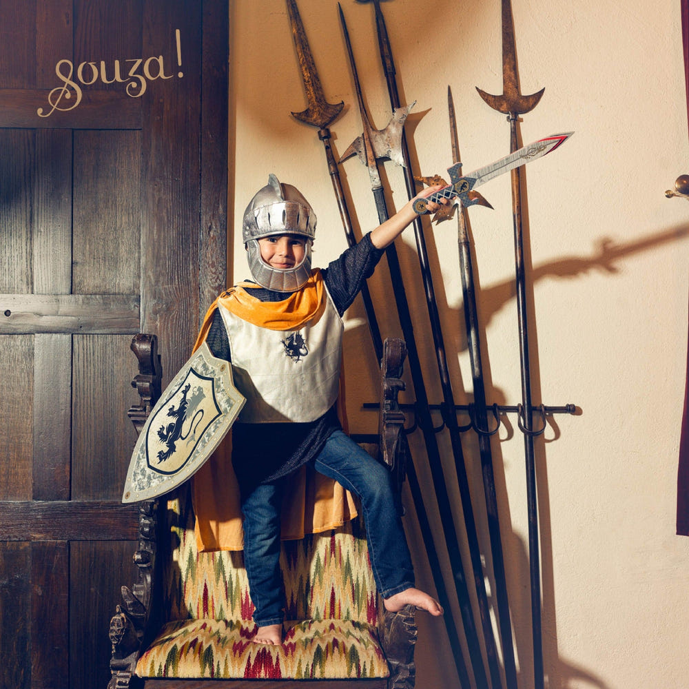 "Shield Raymond - Kids' costume accessory for carnival and festive events, perfect for knights and imaginative play."