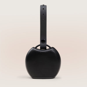 Rohm+