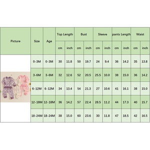Baby Toddler Girls 2Pcs Fall Outfit Daisy Flower Print Long Sleeve Crewneck Top and Elastic Pants Jogger Set
