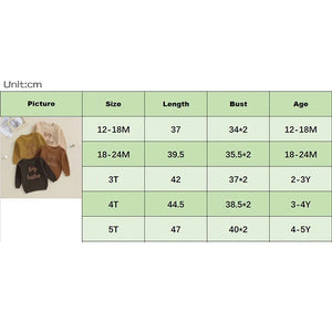 Toddler boys' long sleeve sweater with big brother embroidery, loose knitwear in cotton, angle view.