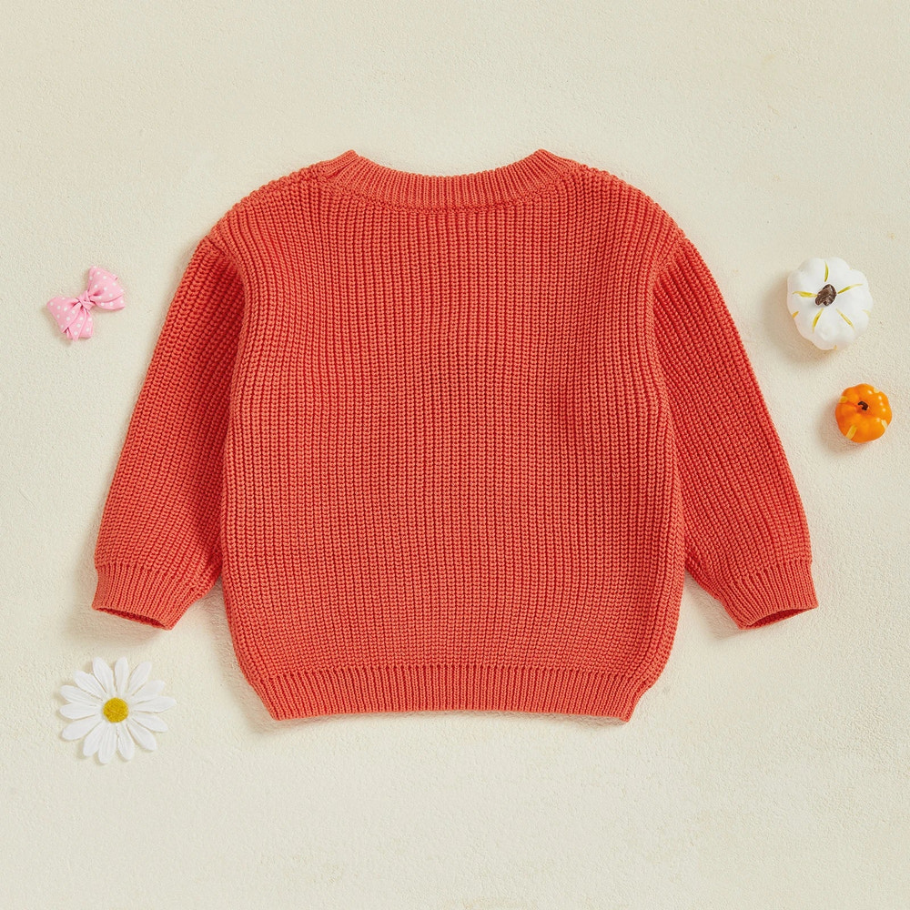 Baby Toddler Kids Girl Halloween Sweater Long Sleeve Round Neck Ghost Flower Embroidery Knit Pullover Top