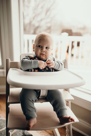 Lion Silicone Bib with Crumb Catcher