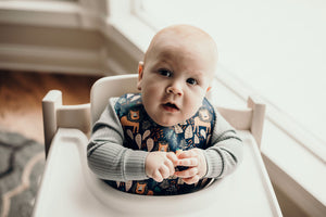 Lion Silicone Bib with Crumb Catcher