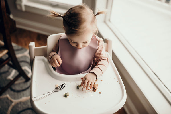 Lilac Silicone Bib with Crumb Catcher