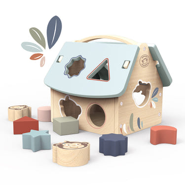 "House shape sorter for babies, promoting early learning and fine motor skills development."