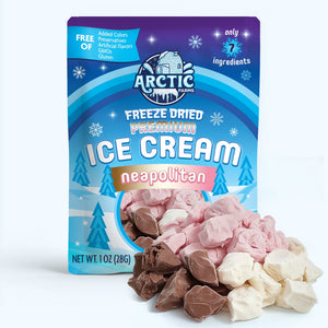 PREMIUM Freeze Dried Ice Cream * Only 5 Ingredients * Neapolitan