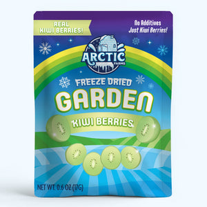 Freeze Dried Kiwi Berry (Baby Kiwi)