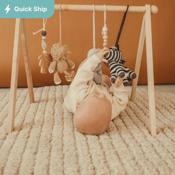 Baby Activity Gym & Crochet Toys