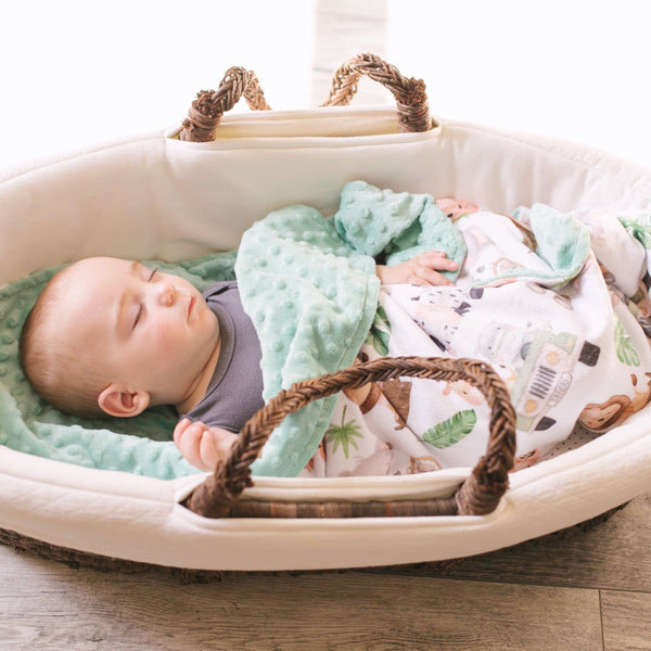 Minky Baby Blanket Safari