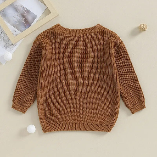Toddler boys' cotton sweater with "Big Brother" embroidery, long sleeve, loose knitwear, angle view.