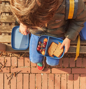 Kids Rectangular Bento Lunch Box - Royal Blue