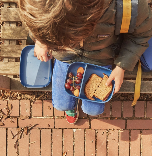 Kids Rectangular Bento Lunch Box - Royal Blue