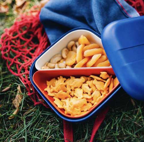 Kids Square Bento Lunch Box - Royal Blue