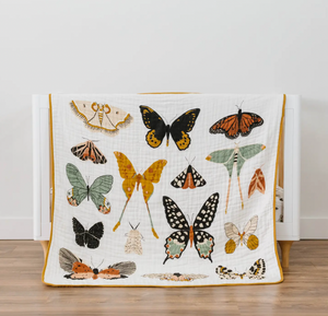 Bread For Words: A Frederick Douglass Story