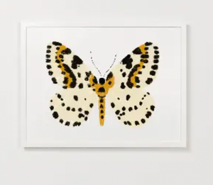 Yellow Butterfly Art