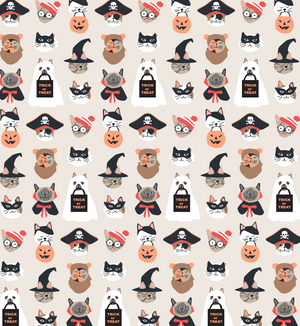 Meow & Treat (Dream Blanket)