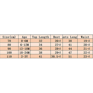 Baby Toddler Boys 2Pcs Little Dude Fall Outfit Long Sleeve Letter Embroidery Top + Pocket Pants Set