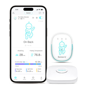 Pro Baby Monitor (Long Range)