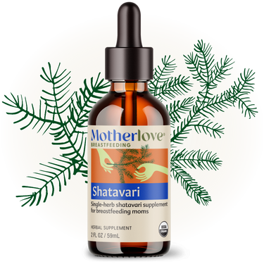 Shatavari - Tincture - MOOGCO Baby