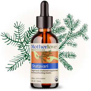 Shatavari - Tincture - MOOGCO Baby