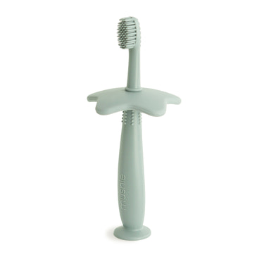 Star Training Toothbrush