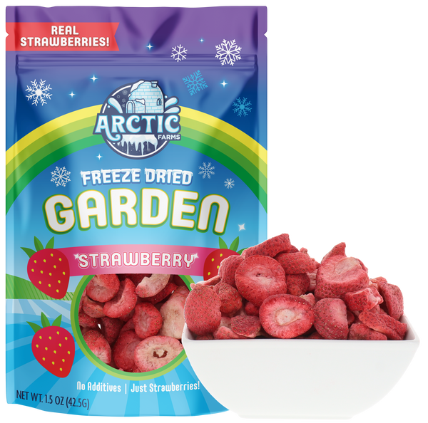 Freeze Dried Strawberries Organic Strawberry Slices