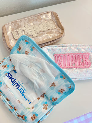 Clear coat wipes pouch travel bag at angle 12, perfect for on-the-go baby care.