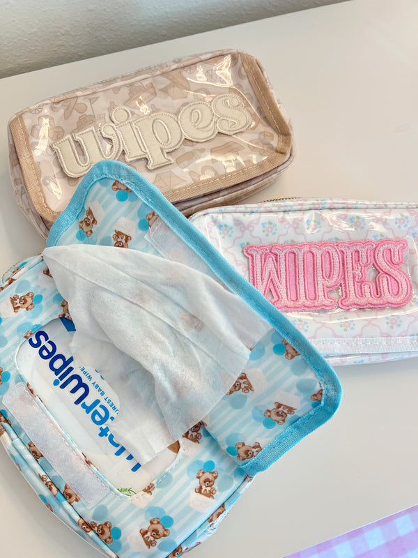 Clear coat wipes pouch travel bag at angle 12, perfect for on-the-go baby care.