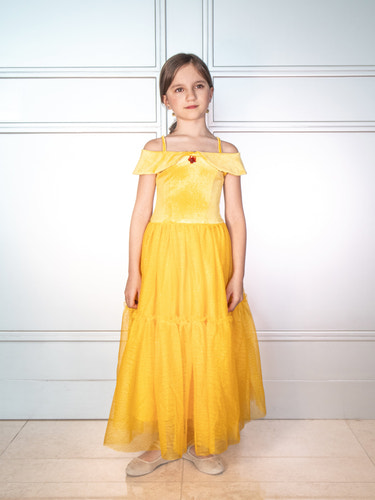 The Enchanted Rose Princess Dress